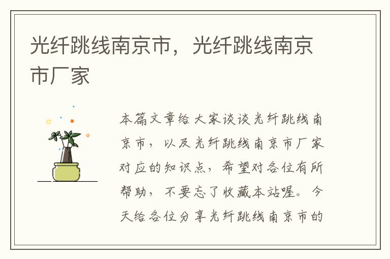 光纤跳线南京市,光纤跳线南京市厂家
