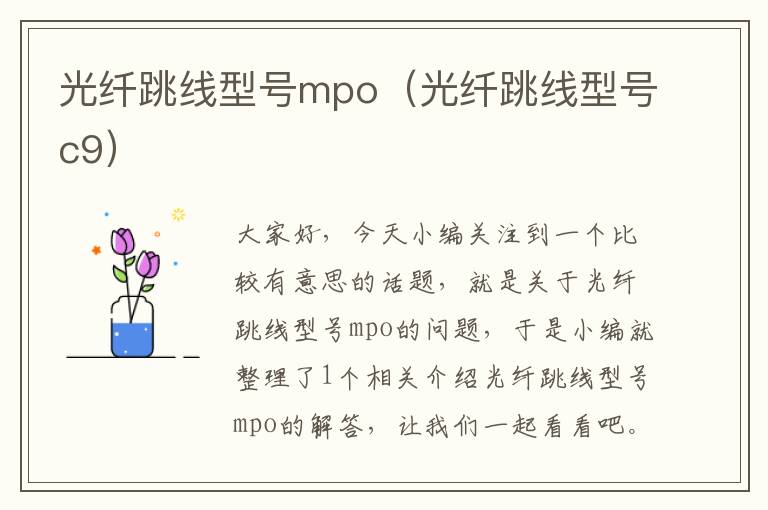 光纤跳线型号mpo(光纤跳线型号c9)