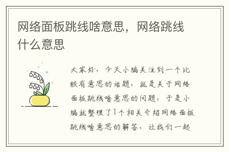 网络面板跳线啥意思,网络跳线什么意思
