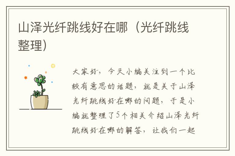 山泽光纤跳线好在哪(光纤跳线整理)