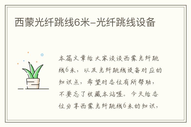 西蒙光纤跳线6米-光纤跳线设备