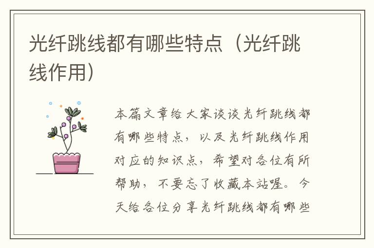 光纤跳线都有哪些特点(光纤跳线作用)