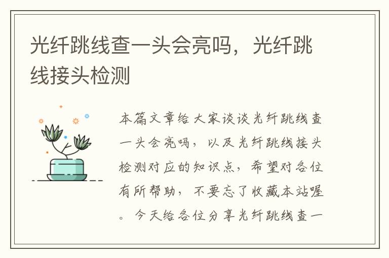 光纤跳线查一头会亮吗,光纤跳线接头检测