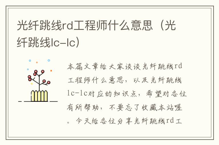 光纤跳线rd工程师什么意思(光纤跳线lc-lc)