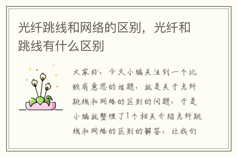 光纤跳线和网络的区别,光纤和跳线有什么区别