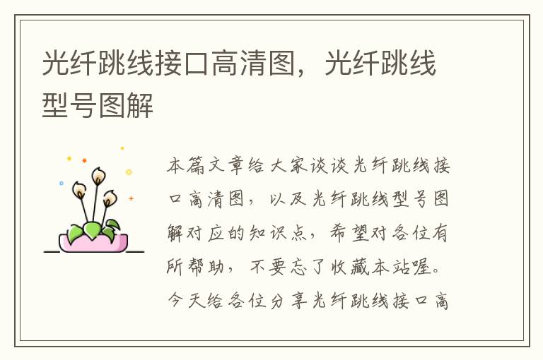 光纤跳线接口高清图,光纤跳线型号图解