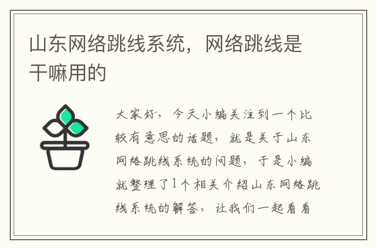 山东网络跳线系统,网络跳线是干嘛用的