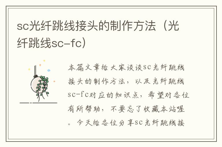 sc光纤跳线接头的制作方法(光纤跳线sc-fc)