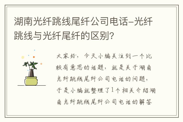 湖南光纤跳线尾纤公司电话-光纤跳线与光纤尾纤的区别?