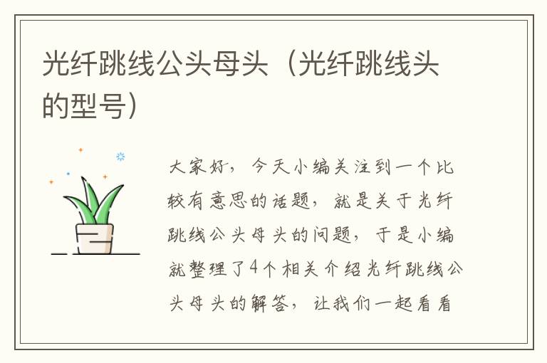 光纤跳线公头母头(光纤跳线头的型号)