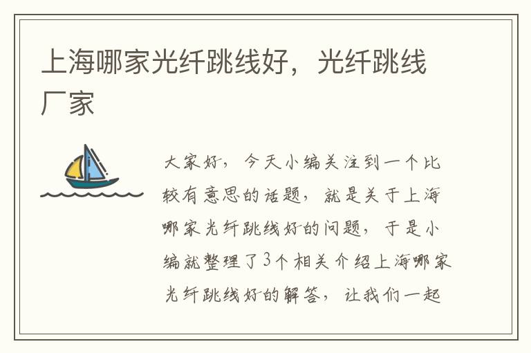 上海哪家光纤跳线好,光纤跳线厂家