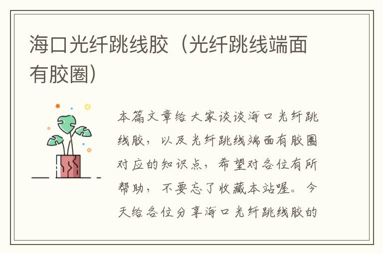 海口光纤跳线胶（光纤跳线端面有胶圈）