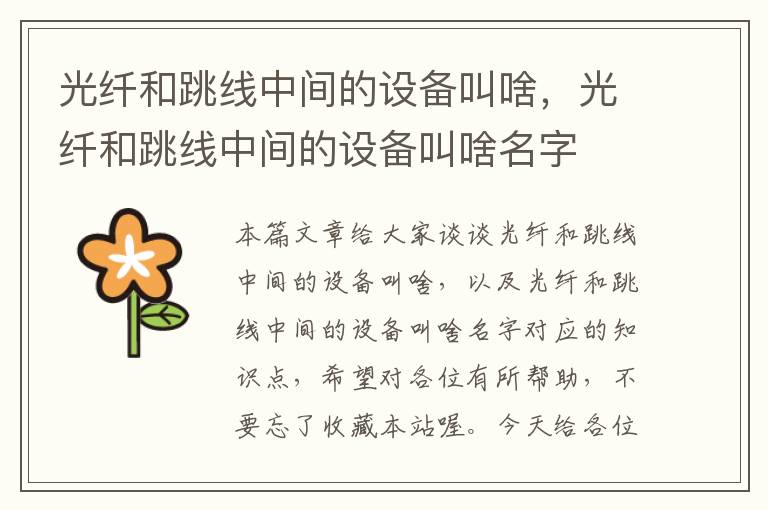 光纤和跳线中间的设备叫啥,光纤和跳线中间的设备叫啥名字