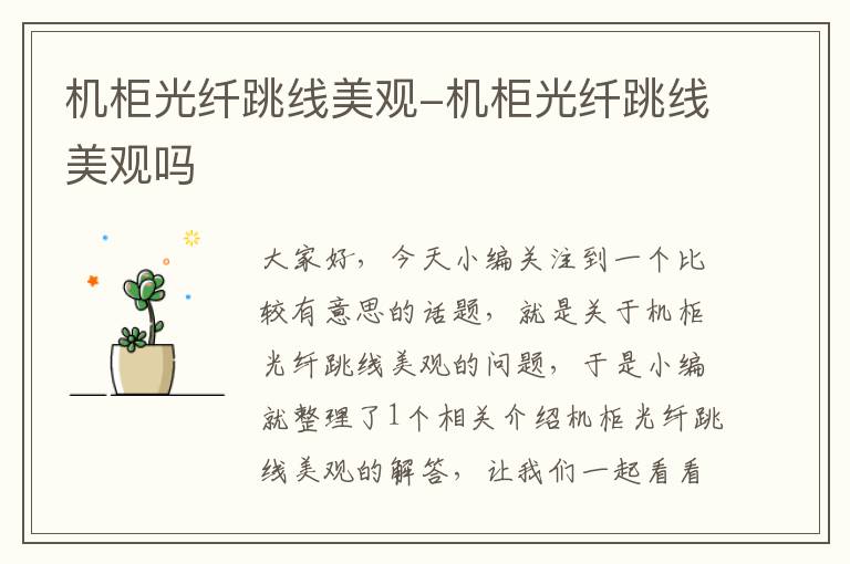 机柜光纤跳线美观-机柜光纤跳线美观吗
