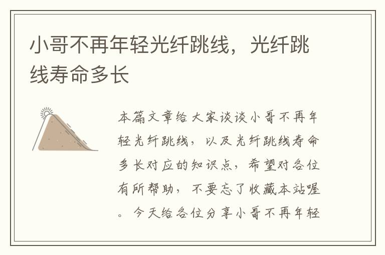 小哥不再年轻光纤跳线,光纤跳线寿命多长