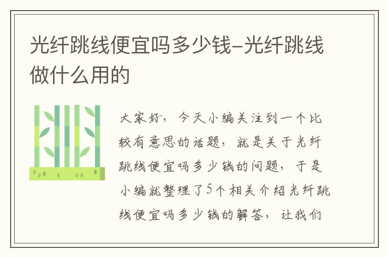 光纤跳线便宜吗多少钱-光纤跳线做什么用的
