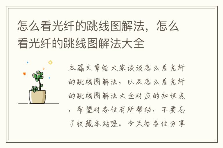 怎么看光纤的跳线图解法,怎么看光纤的跳线图解法大全