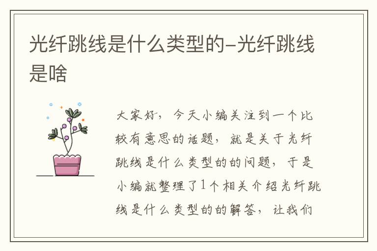 光纤跳线是什么类型的-光纤跳线是啥