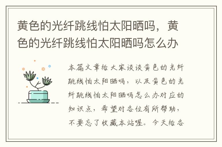 黄色的光纤跳线怕太阳晒吗,黄色的光纤跳线怕太阳晒吗怎么办