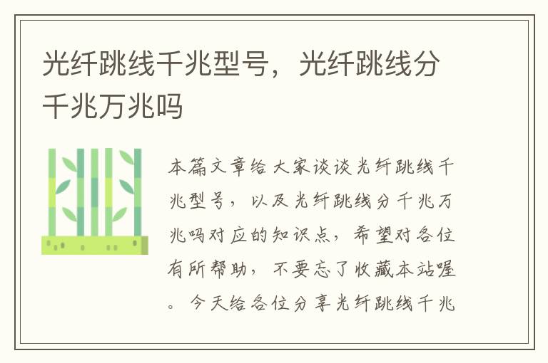 光纤跳线千兆型号,光纤跳线分千兆万兆吗