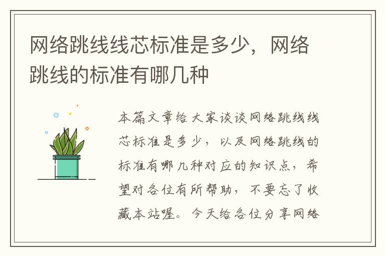 网络跳线线芯标准是多少,网络跳线的标准有哪几种