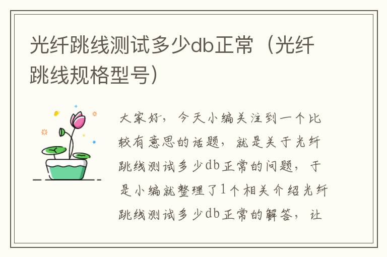 光纤跳线测试多少db正常(光纤跳线规格型号)