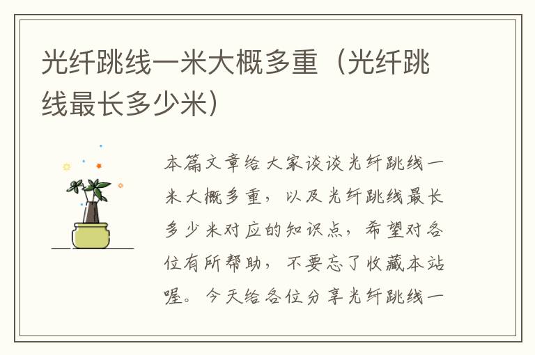光纤跳线一米大概多重(光纤跳线最长多少米)