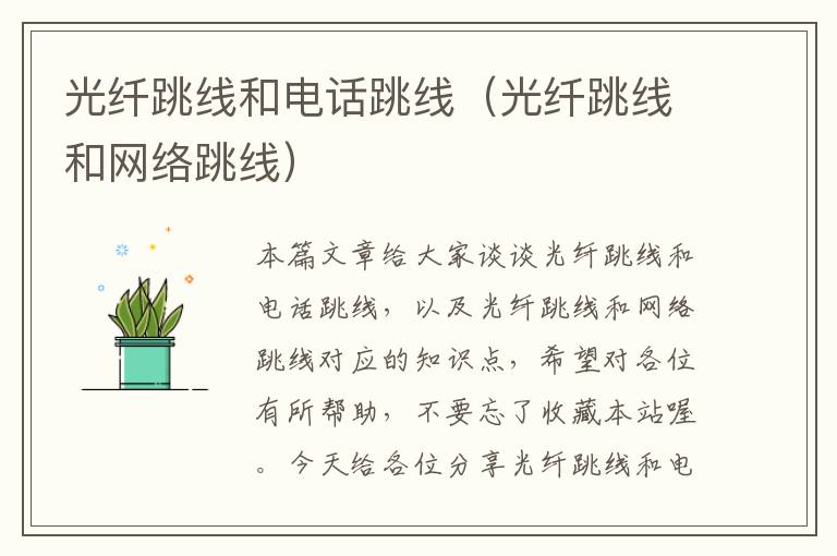 光纤跳线和电话跳线(光纤跳线和网络跳线)