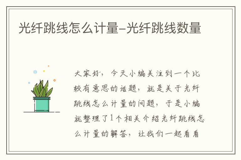 光纤跳线怎么计量-光纤跳线数量