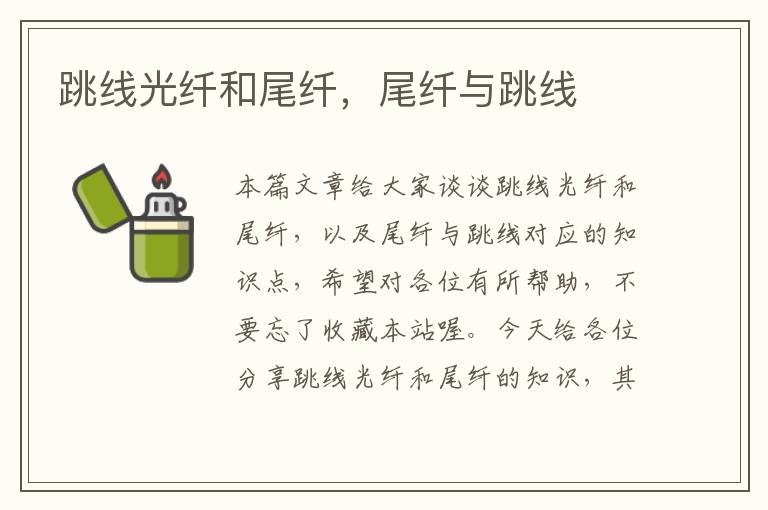 跳线光纤和尾纤,尾纤与跳线