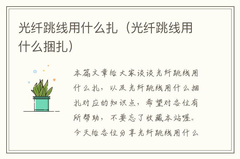 光纤跳线用什么扎(光纤跳线用什么捆扎)