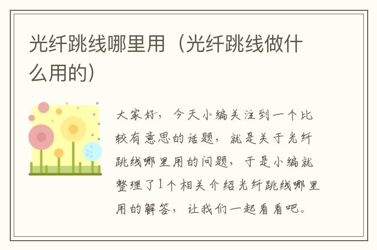 光纤跳线哪里用(光纤跳线做什么用的)