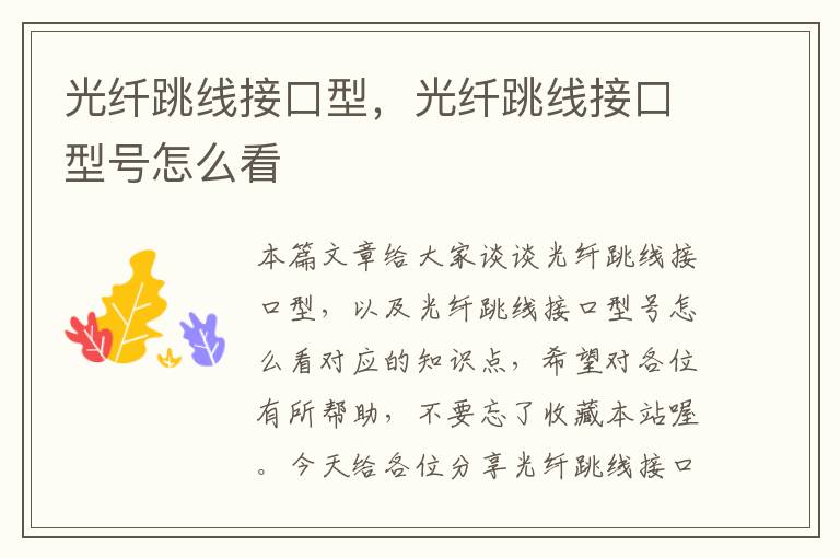 光纤跳线接口型,光纤跳线接口型号怎么看