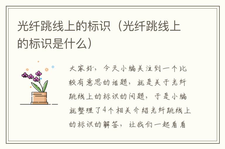 光纤跳线上的标识(光纤跳线上的标识是什么)
