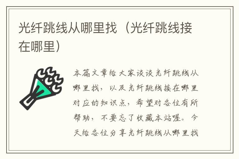 光纤跳线从哪里找(光纤跳线接在哪里)
