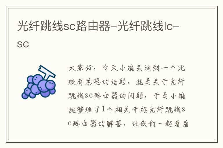 光纤跳线sc路由器-光纤跳线lc-sc