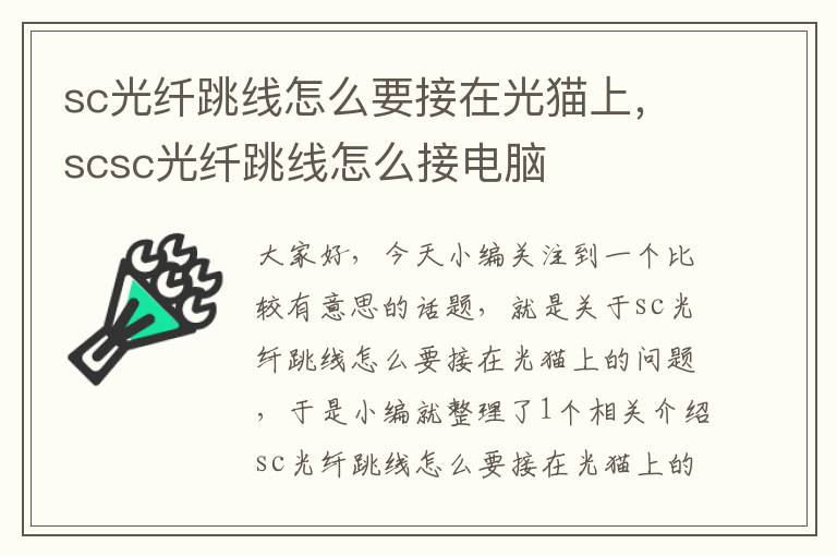 sc光纤跳线怎么要接在光猫上,scsc光纤跳线怎么接电脑