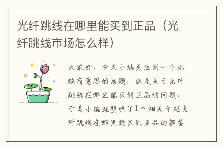 光纤跳线在哪里能买到正品(光纤跳线市场怎么样)