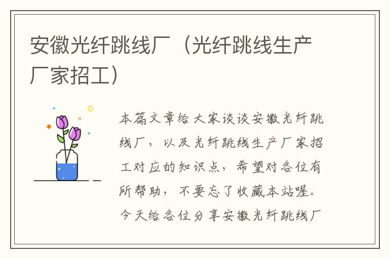 安徽光纤跳线厂(光纤跳线生产厂家招工)