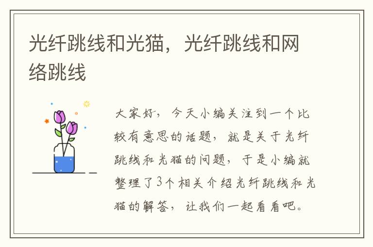 光纤跳线和光猫,光纤跳线和网络跳线