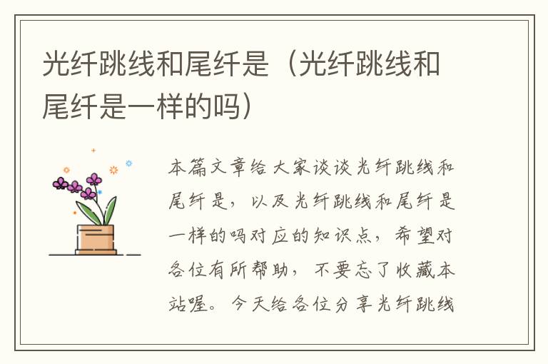 光纤跳线和尾纤是(光纤跳线和尾纤是一样的吗)
