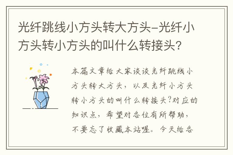 光纤跳线小方头转大方头-光纤小方头转小方头的叫什么转接头?