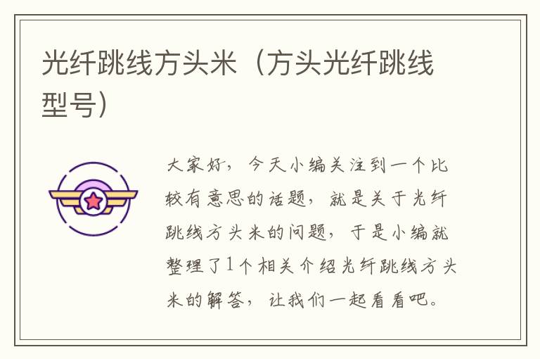 光纤跳线方头米(方头光纤跳线型号)