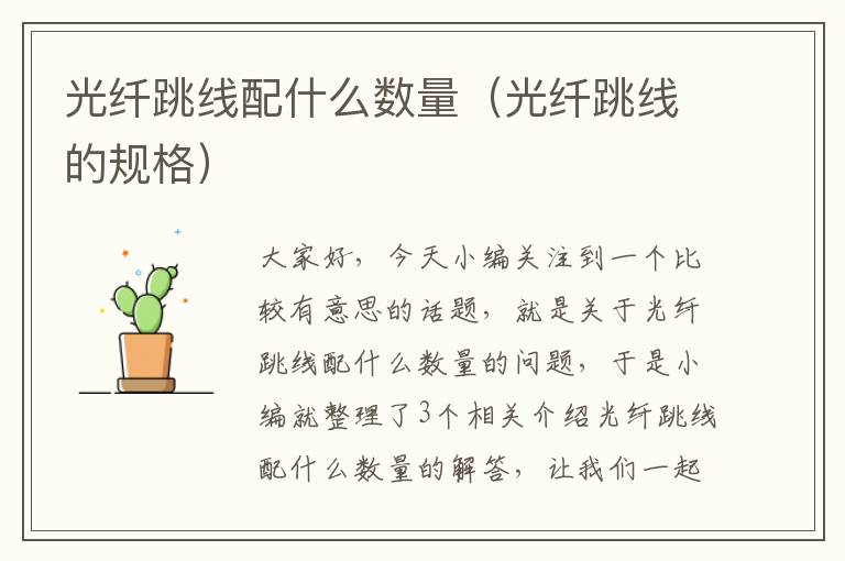 光纤跳线配什么数量(光纤跳线的规格)