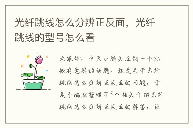 光纤跳线怎么分辨正反面,光纤跳线的型号怎么看