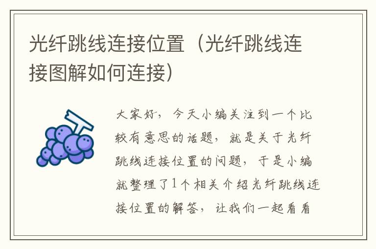 光纤跳线连接位置(光纤跳线连接图解如何连接)