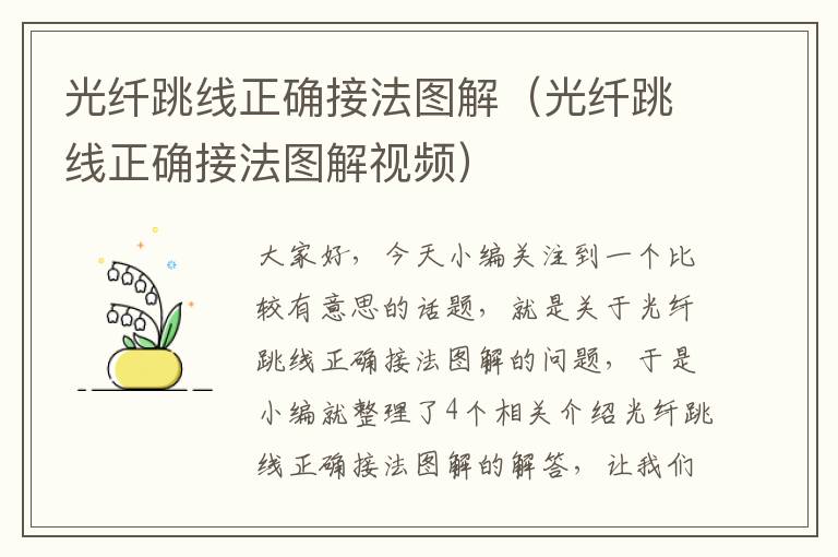 光纤跳线正确接法图解(光纤跳线正确接法图解视频)