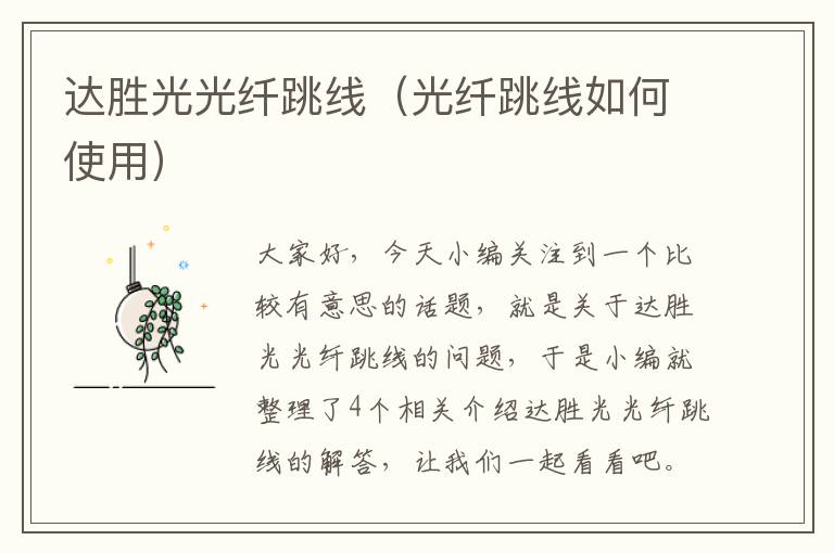 达胜光光纤跳线(光纤跳线如何使用)