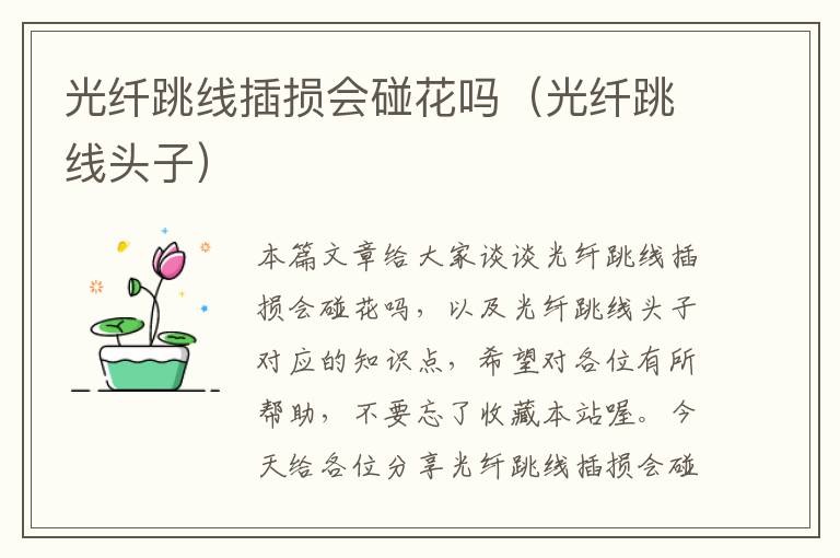光纤跳线插损会碰花吗(光纤跳线头子)