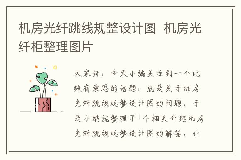 机房光纤跳线规整设计图-机房光纤柜整理图片